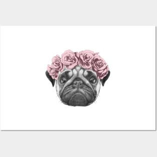 Rosie the pug with roses Posters and Art